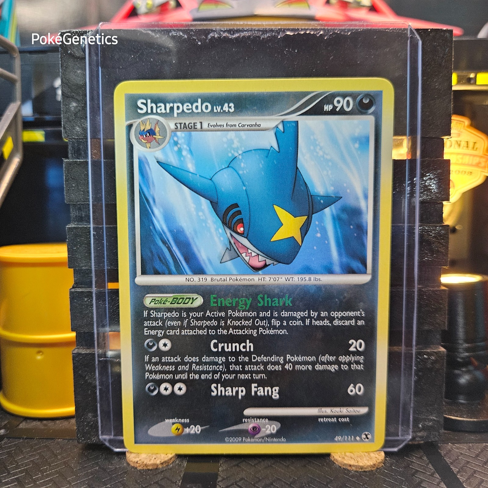 Sharpedo Rising Rivals Pokémon TCG 49/111 Platinum Uncommon