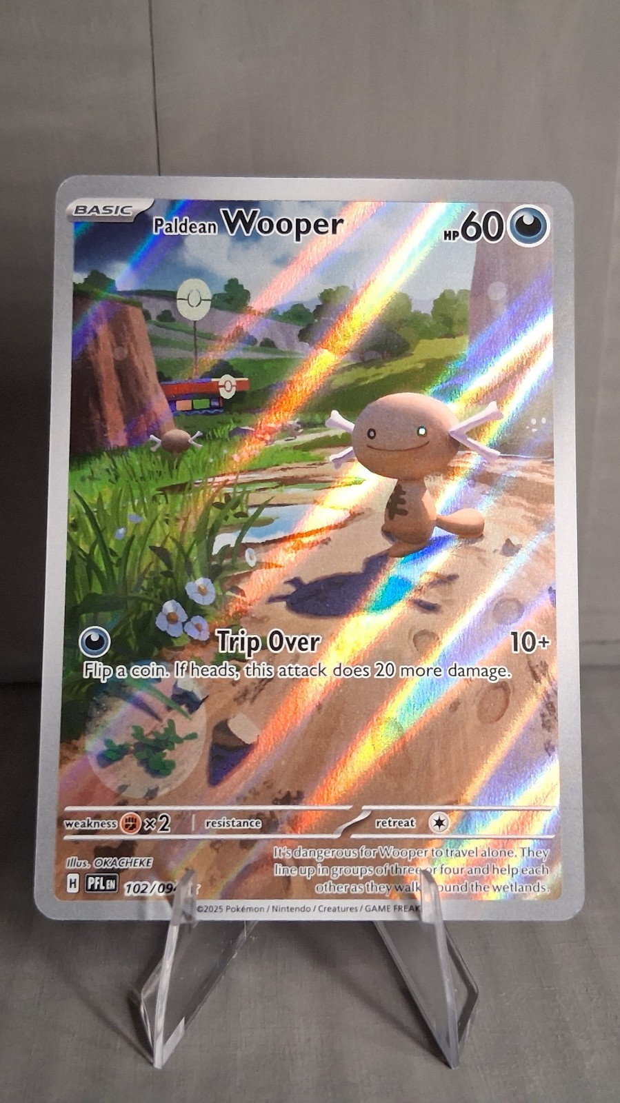 NM – EN Paldean Wooper 102/094 Me02 Phantasmal Flames Holo – IR – illus OKACHEKE