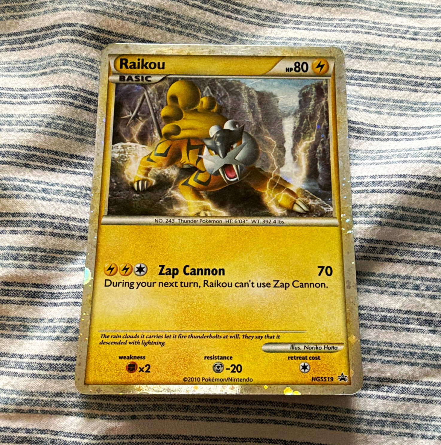 Raikou HGSS19 Holo Promo HeartGold & SoulSilver 2010 English Pokemon Card