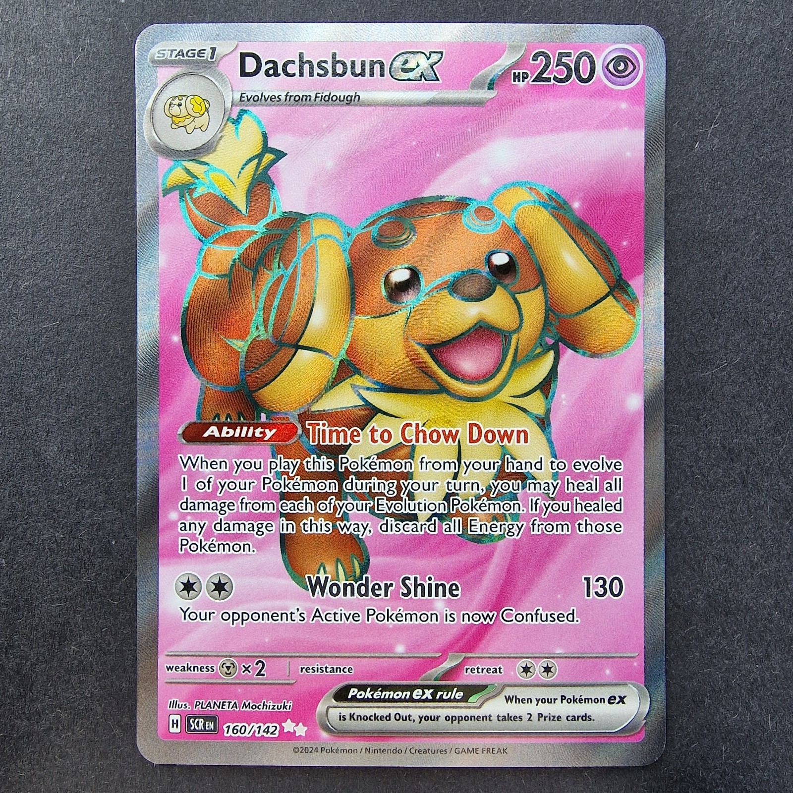 Dachsbun ex 160/142 Stellar Crown Full Art Ultra Rare Pokemon TCG English Holo