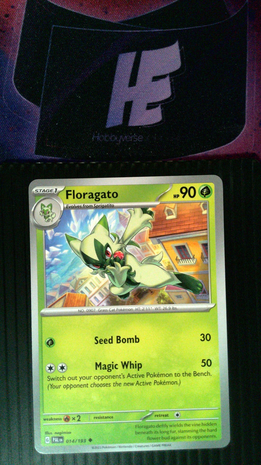 Floragato #014/193