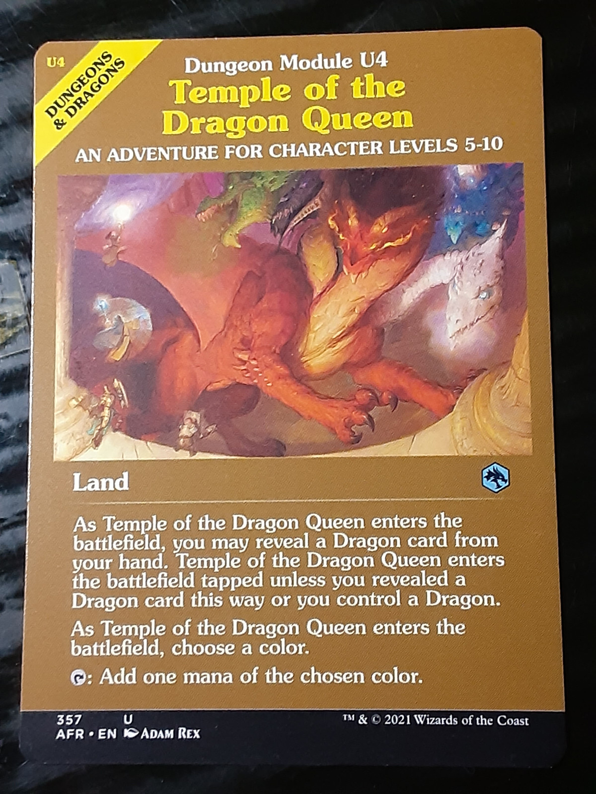 Temple of the Dragon Queen Dungeon Module , Adventures FR ,NM,MTG,FREE SHIPPING