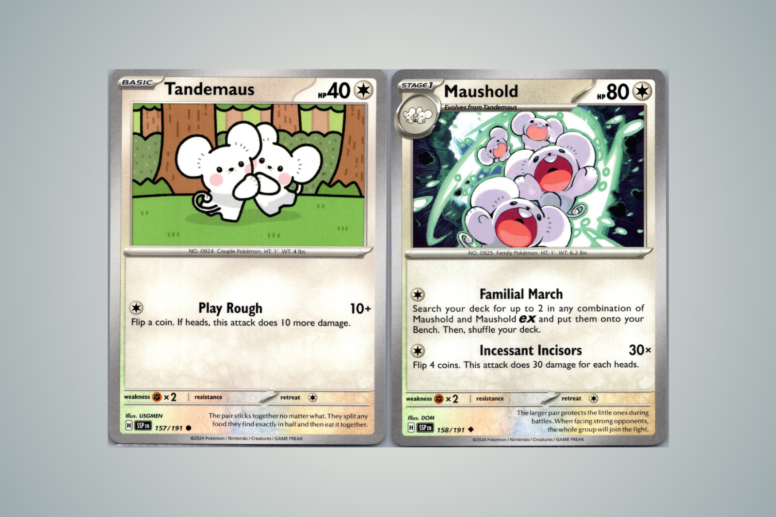 Tandemaus & Maushold, Cute Pokemon 2 Card Set, Evolution Line, Surging Sparks