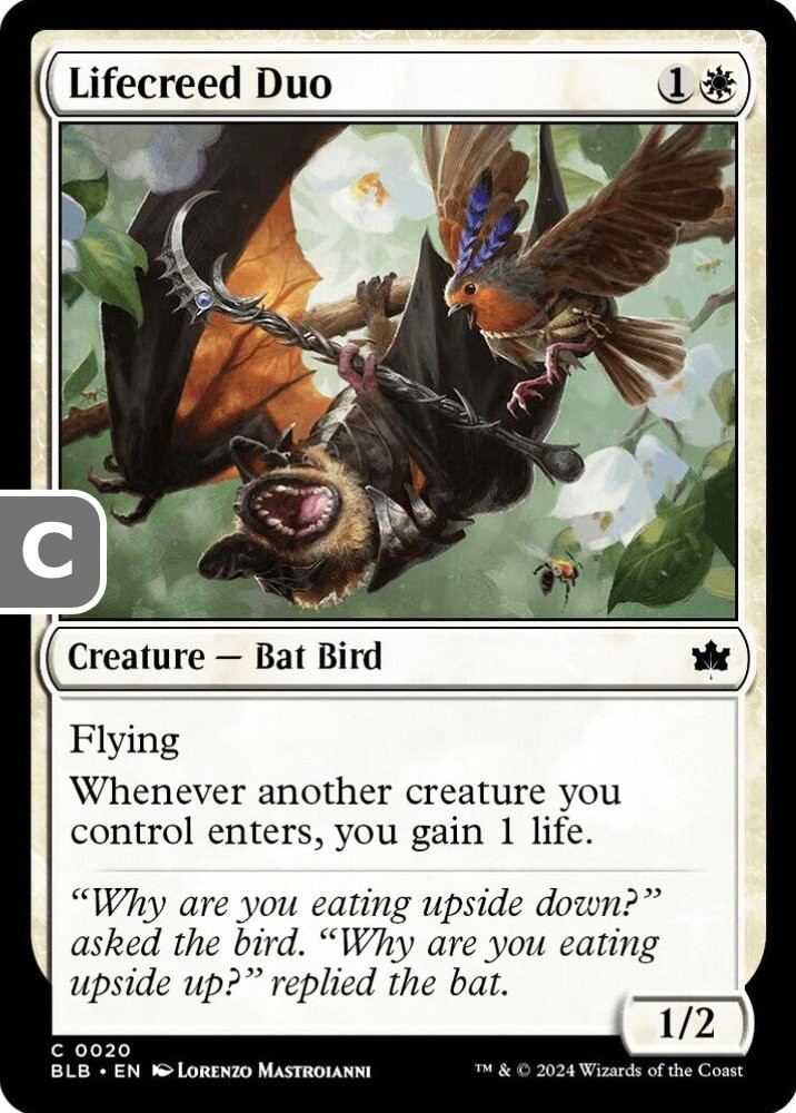 MTG Lifecreed Duo Bloomburrow Common Creature Bat Bird NM