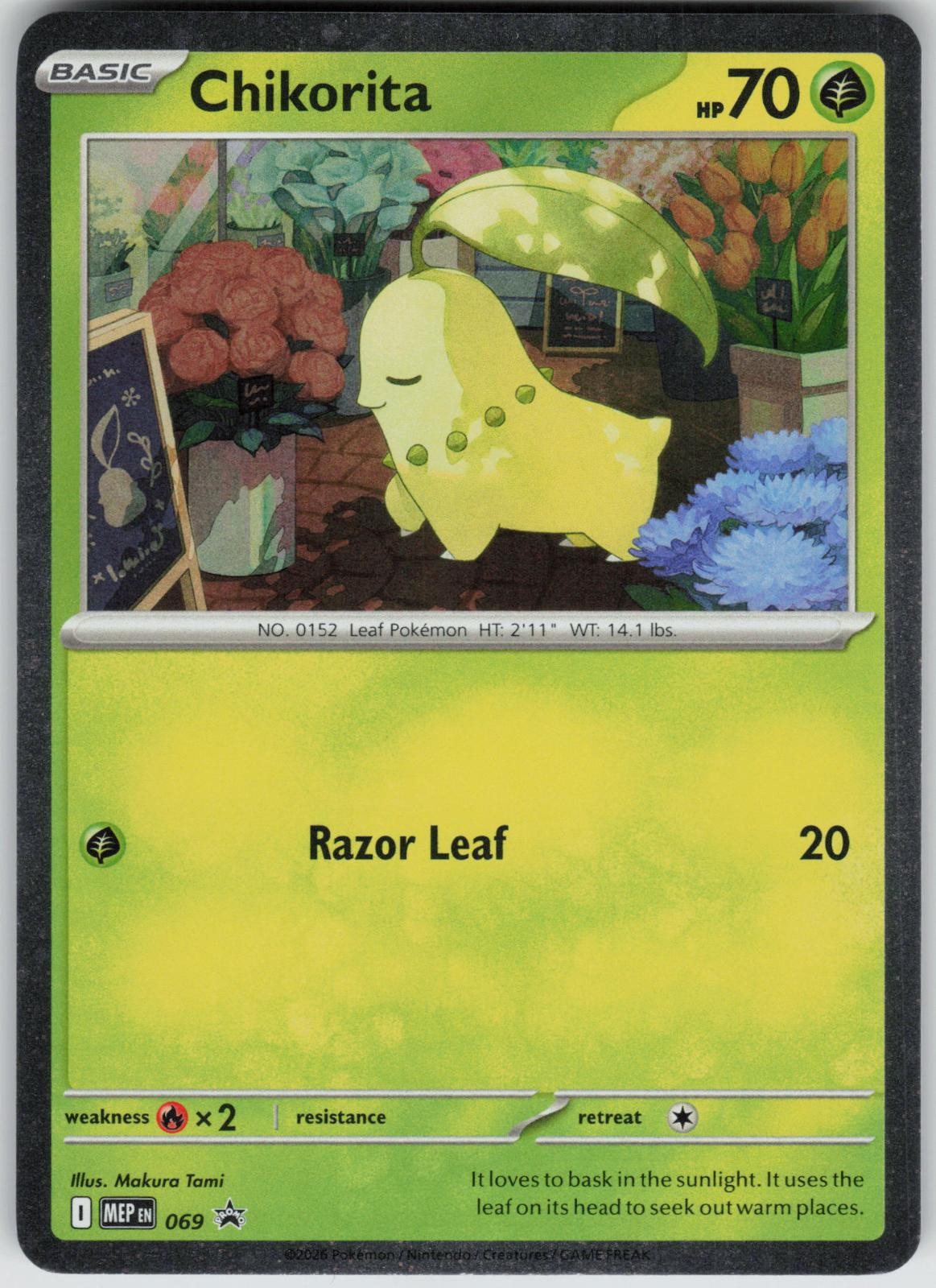 Chikorita (Cosmos Holo) 069 Holo ME: Mega Evolution Promo Holo NM MAKURA TAMI