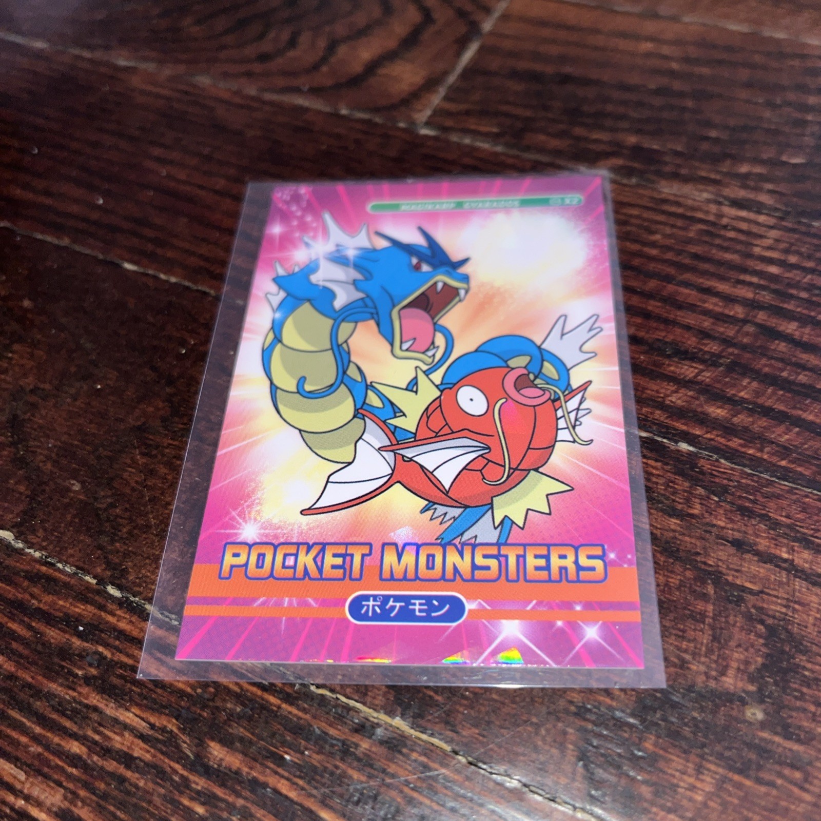 Pokemon Magikarp Gyarados 2024 Peru Pocket Book Set Star Ice Holo US Seller