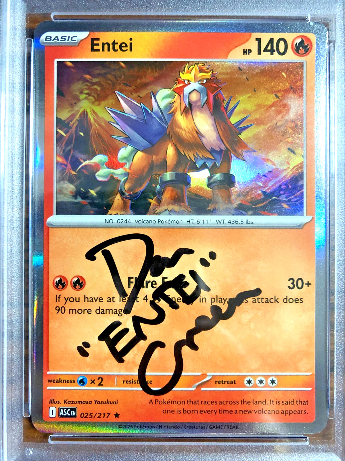 Entei Holo Rare #025|PSA NM-MT 8/AUTO 10|Dan Green|Ascended Heroes|Pokemon TCG