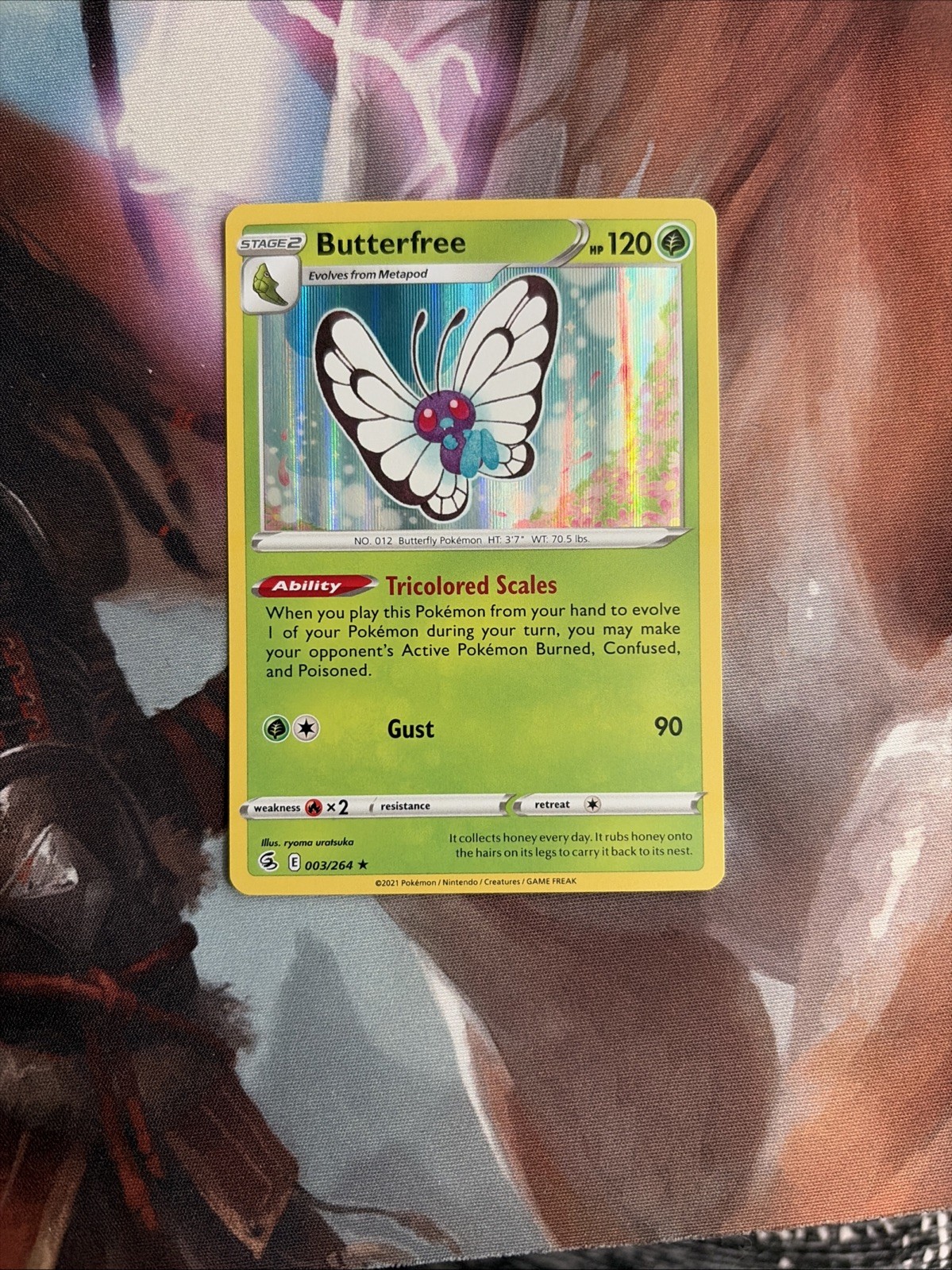 Pokemon – Butterfree – Holo – 3/264 – Nm