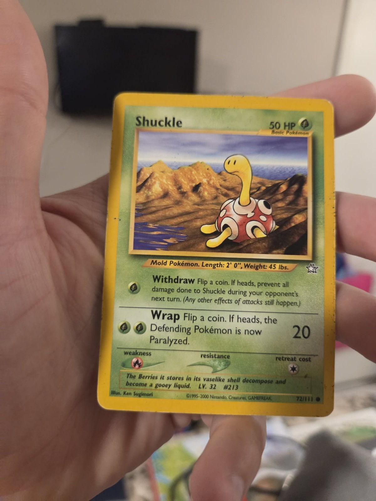 Shuckle 72/111 Neo Genesis Regular