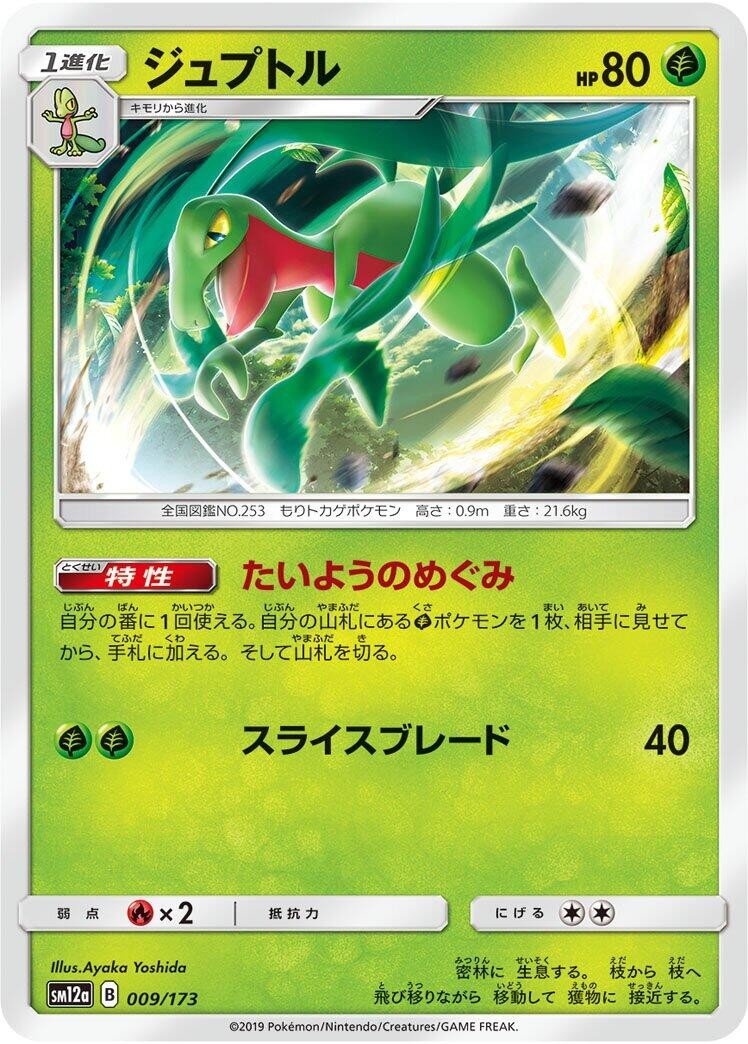 Grovyle009/173