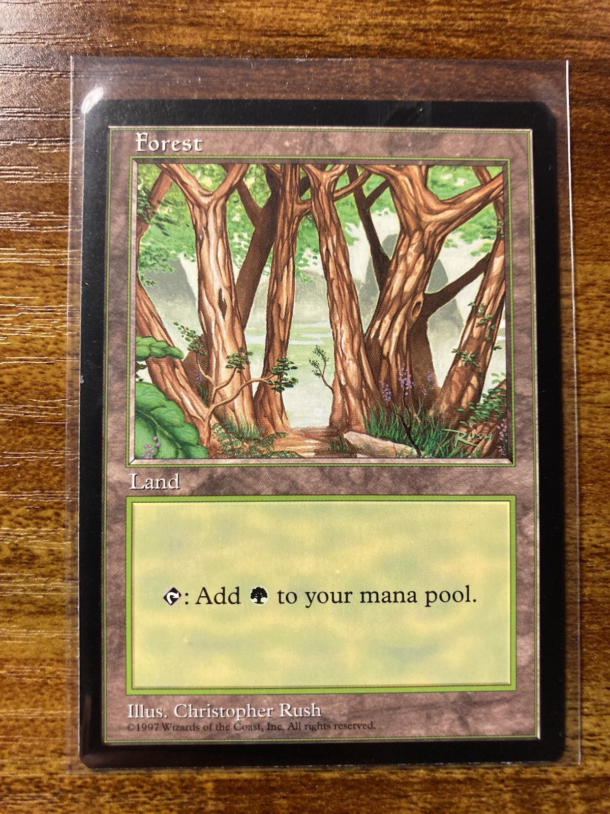 MTG✨APAC Land Promo FOREST China 🇨🇳 BLUE✨NM/MINT Rare 1997 C Rush Art UNPLAYED