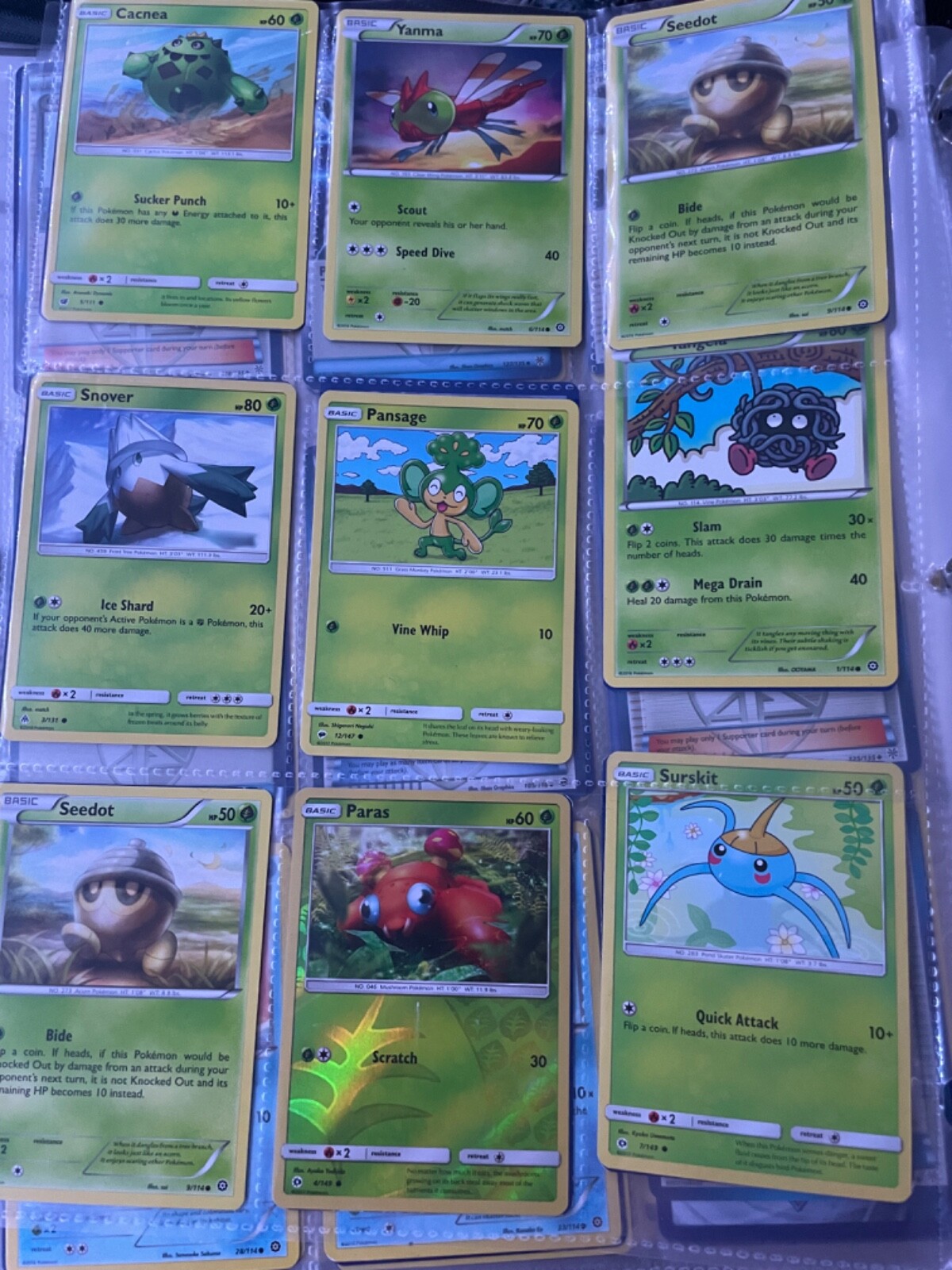 pokemon cards collection most off them are over 7 years old well over 1,500 wr