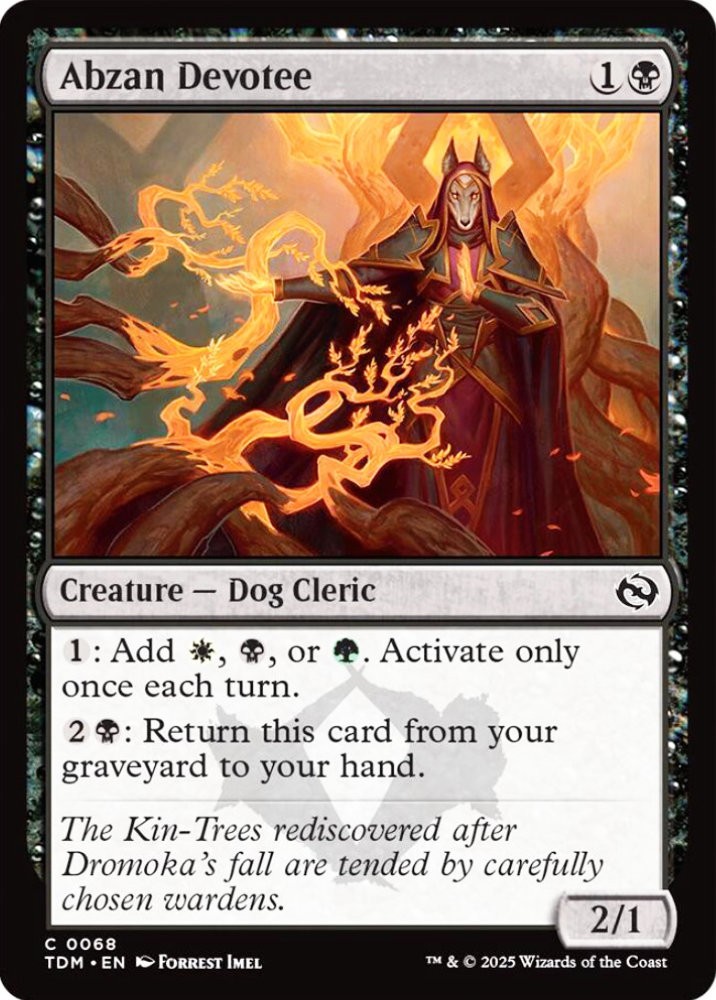 MTG Abzan Devotee Dragonstorm Common Creature Dog Cleric NM