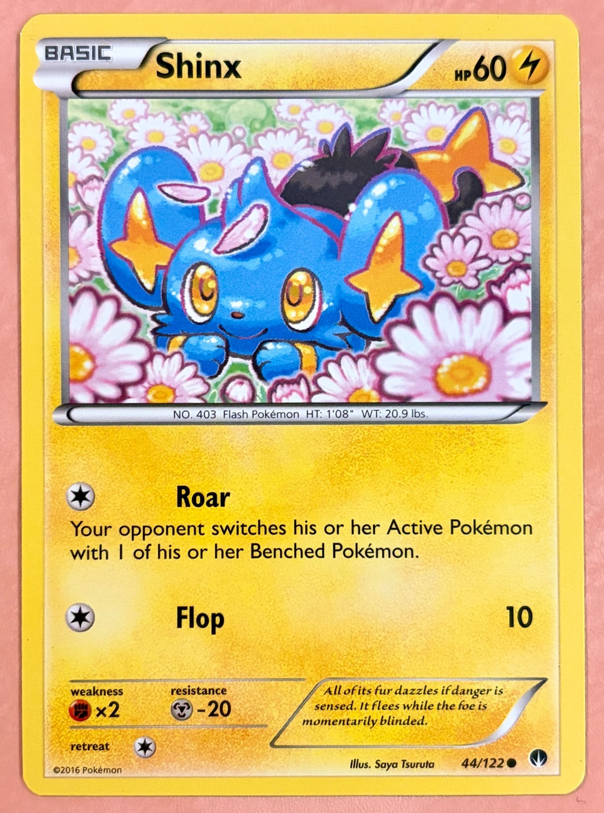 Shinx~Cute Pokemon Cards~ Pretty in Pink Pokemon & Pastel Gallery