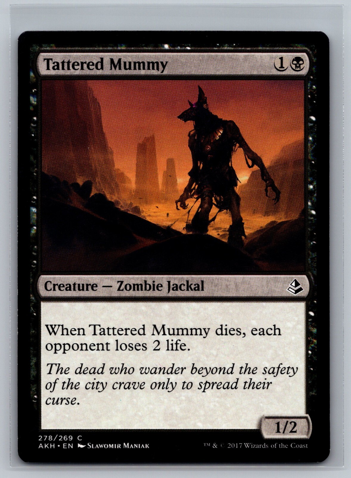 Tattered Mummy 278/269 Magic the Gathering MTG Amonkhet Slawomir Maniak Art