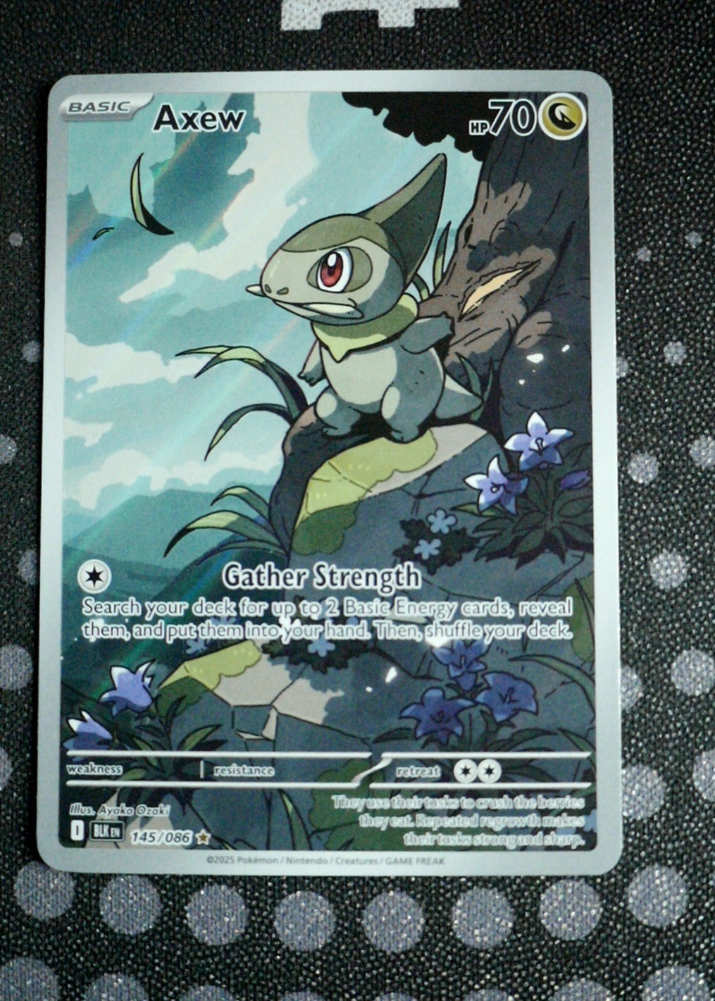 Axew Pokemon SV: Black Bolt BLK #145/086 Holo Near Mint