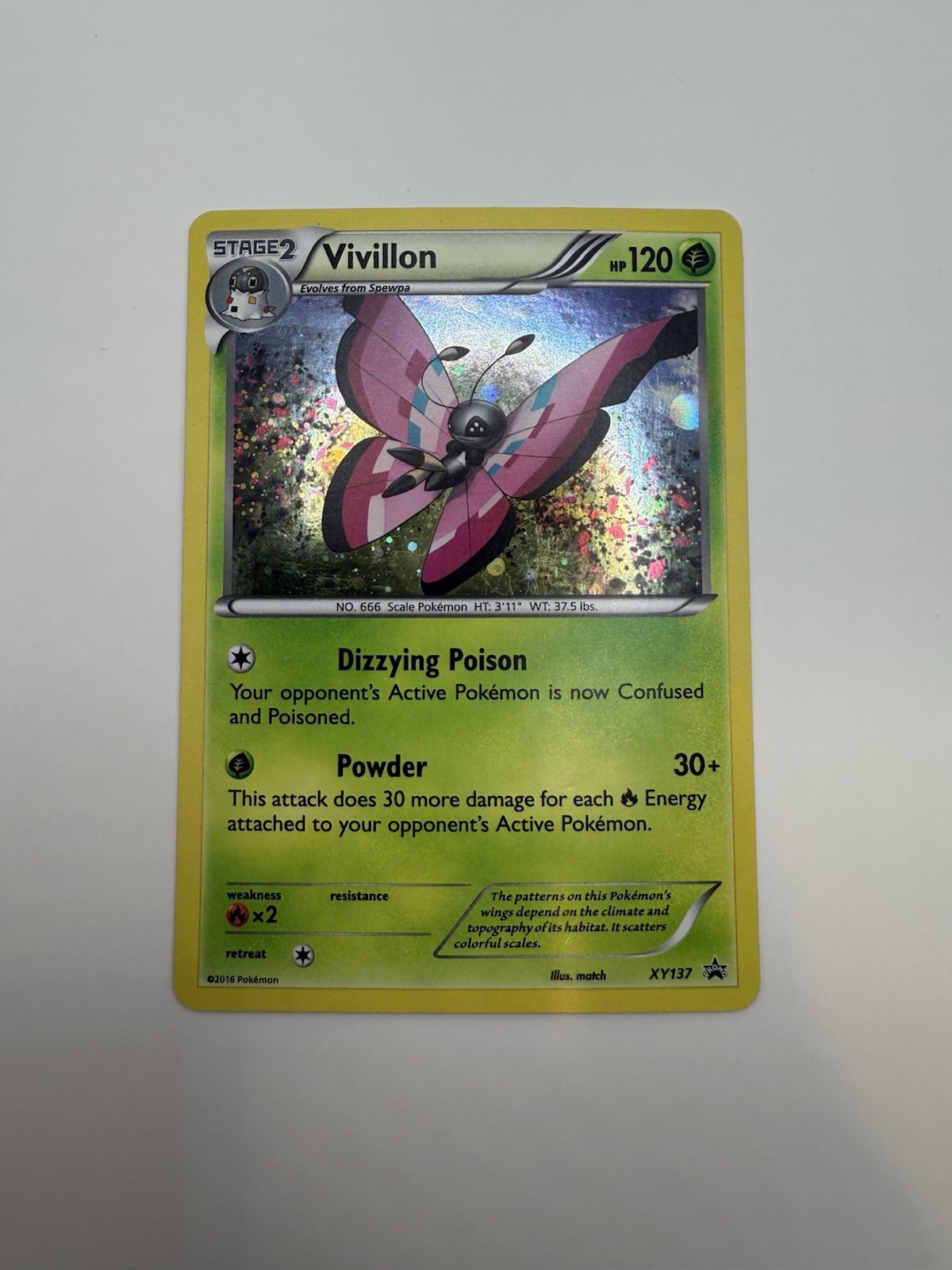 Vivillon XY137 Holo Promo XY Promo Pokemon Lightly Played