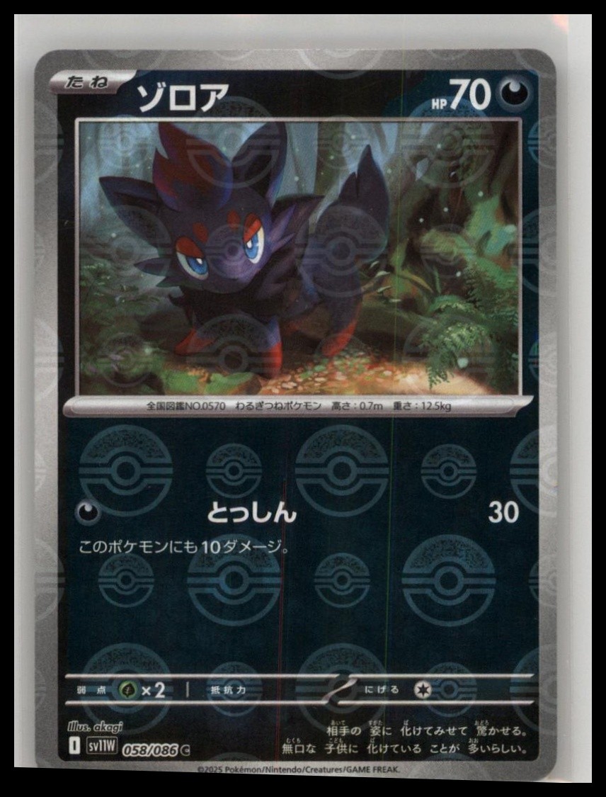 SV11W: White Flare #058/086 Zorua