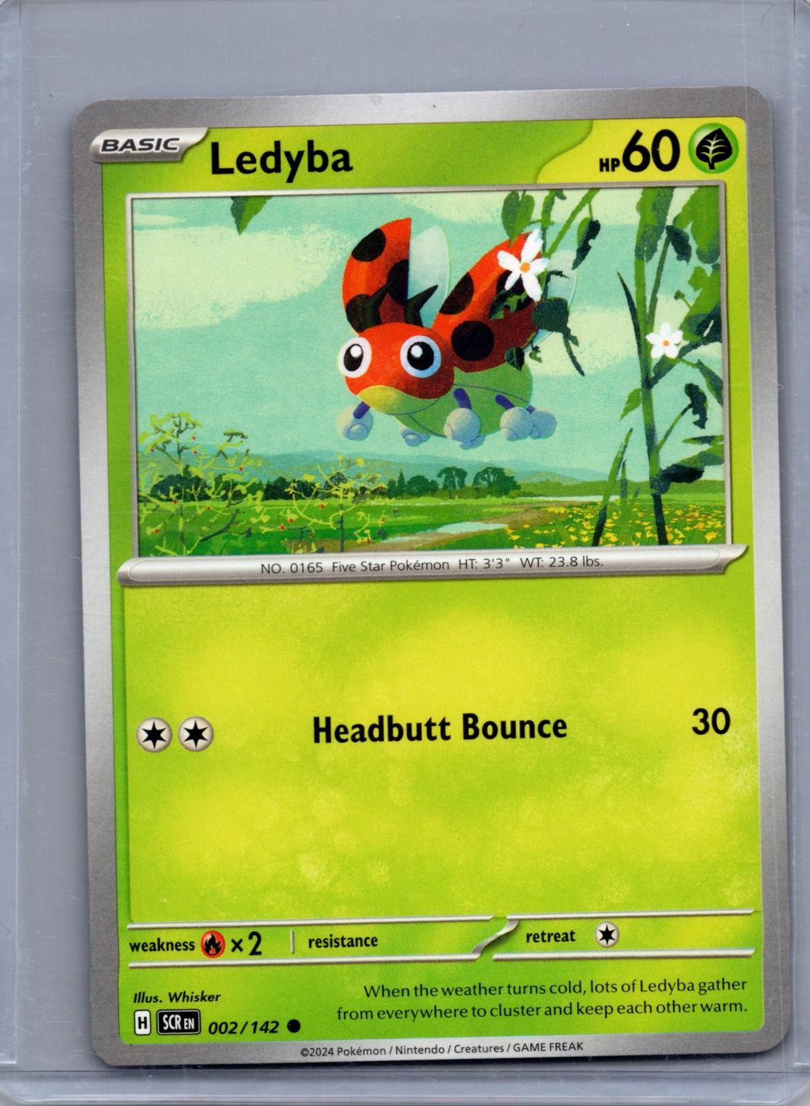LEDYBA 2/142 COMMON STELLAR CROWN POKEMON NM/M