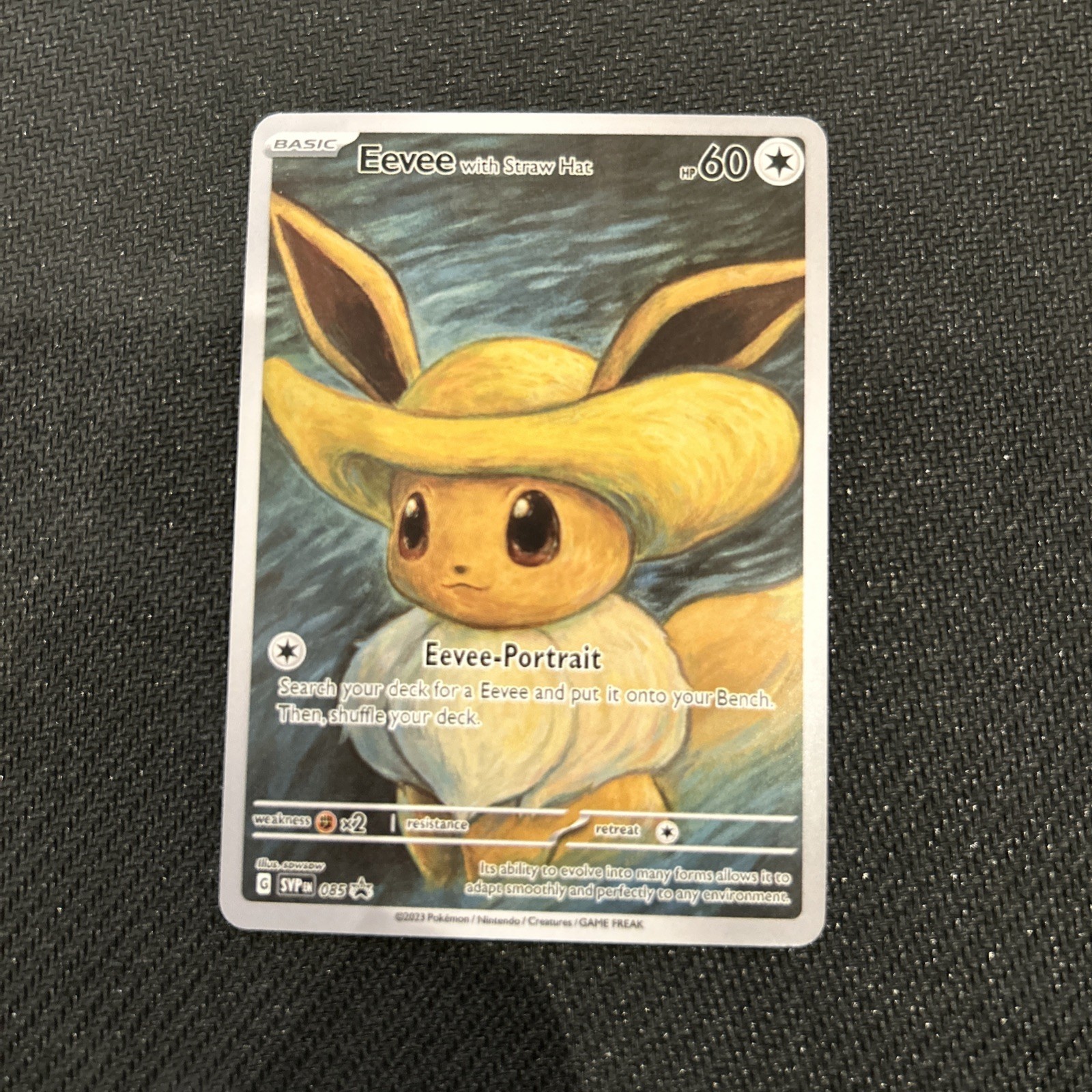✨Pokemon Eevee With Straw Hat Van Gogh ACG Art Black Star Promo Card FAN Art