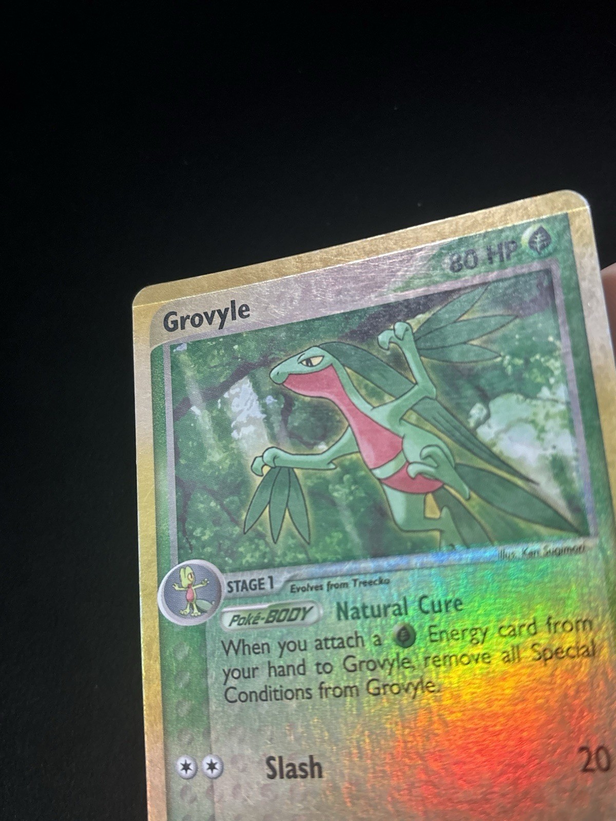 Grovyle 32/109 Ruby & Sapphire Reverse Holo Pokemon TCG – MP (Print Line Front)