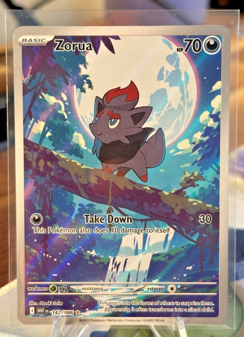 Pokémon TCG – Zorua IR Illustration rare – SV: White Flare 142/086
