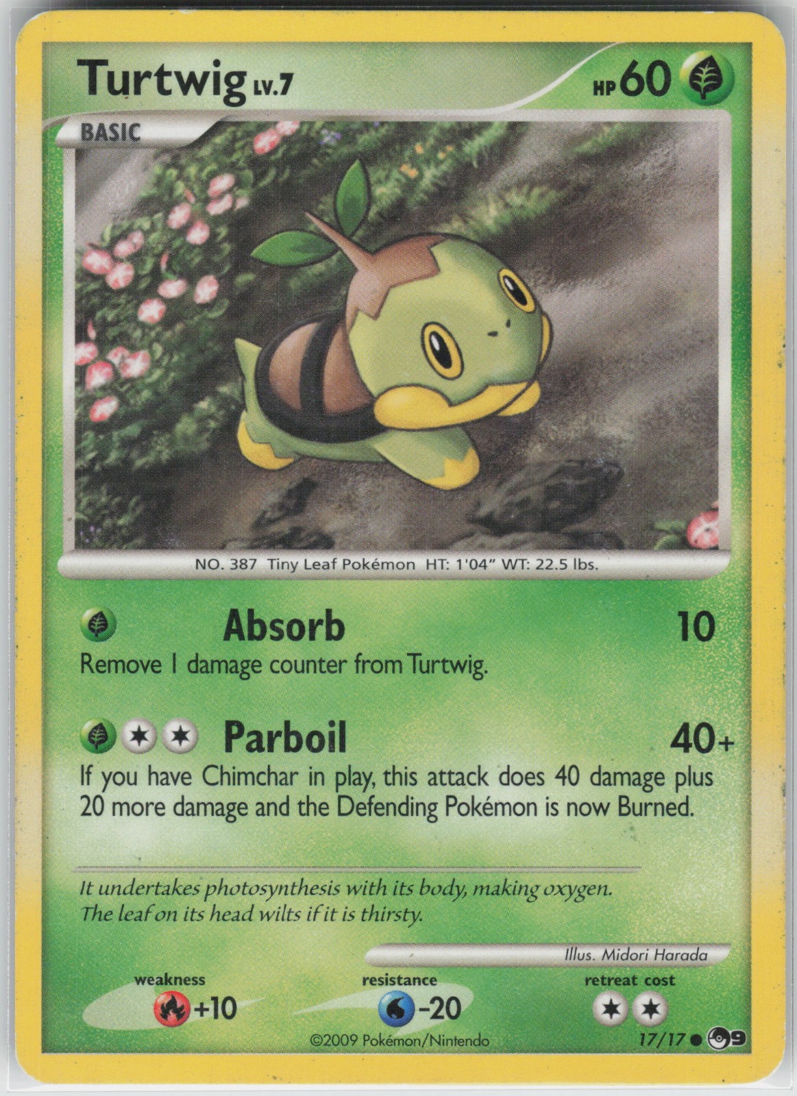 Turtwig Common POP Series 9 017/017 LP