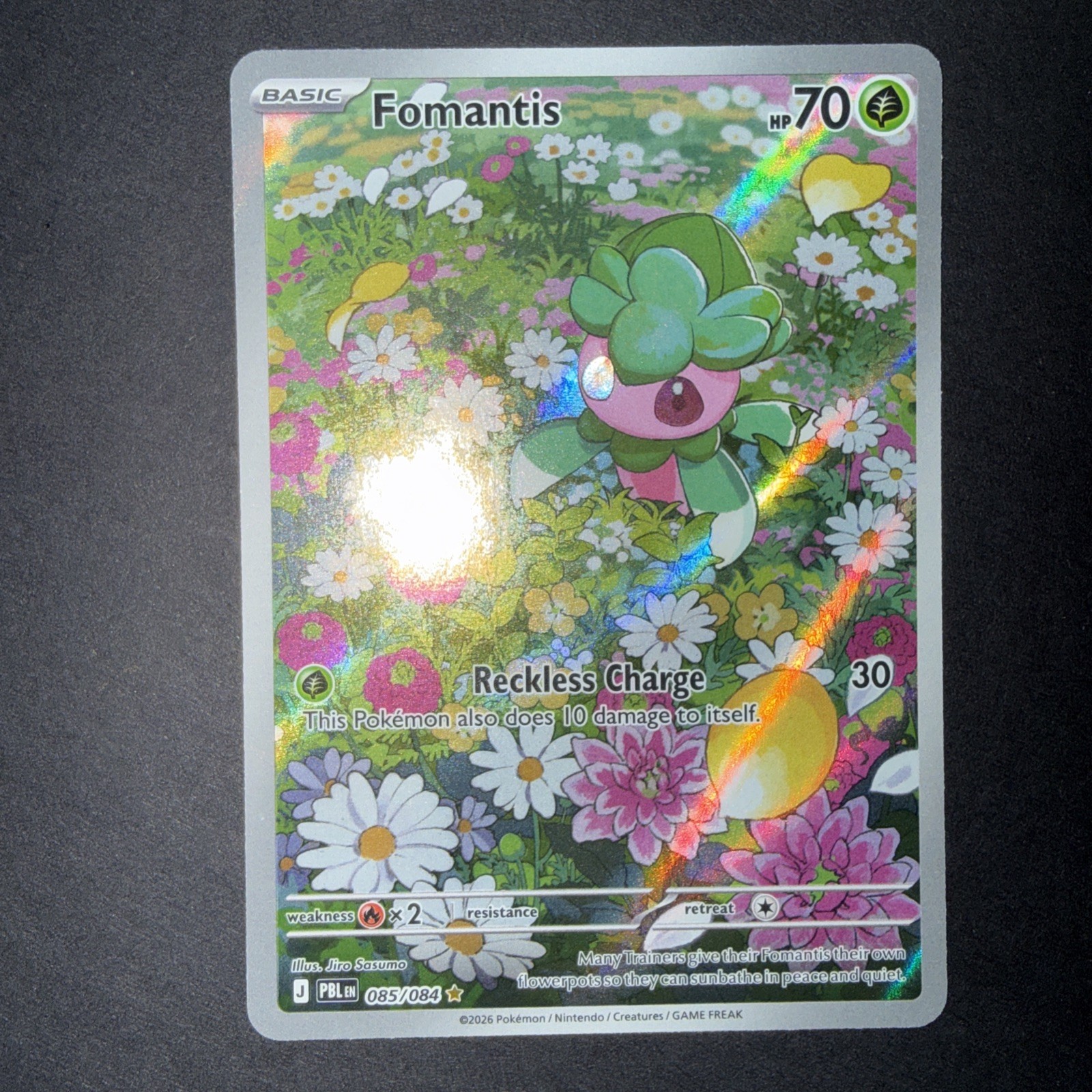 Fomantis 085/084 Illustration Rare Pokemon TCG Pitch Black ME05 English NM IR