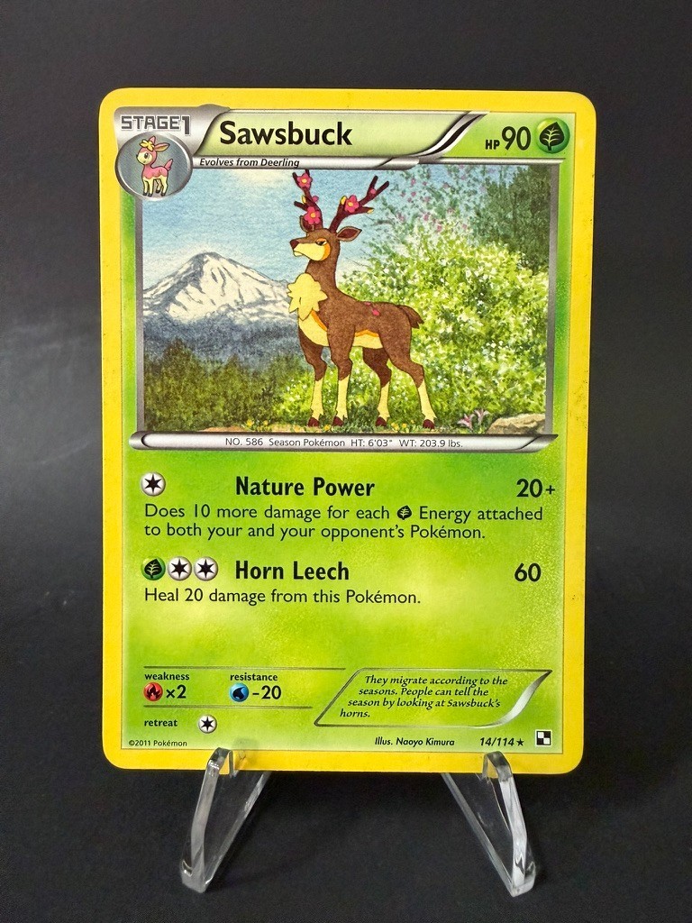 Sawsbuck 14/114 Pokemon Black & White, Rare Regular (Non-Holo)