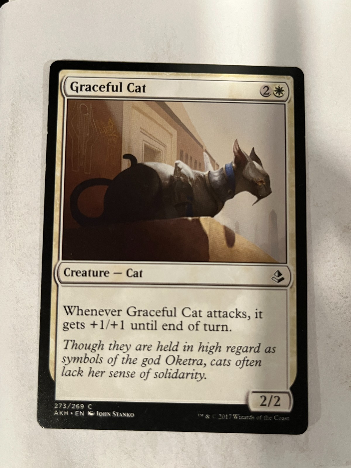 Graceful Cat – Amonkhet – Magic the Gathering MTG Nice!