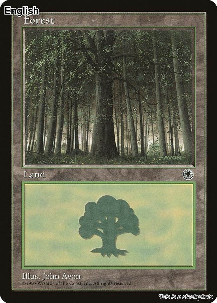 NM Forest (Large Middle) 212 Land EN