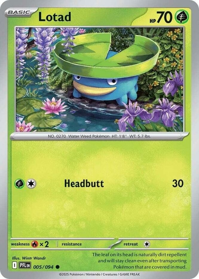 Lotad – 005/094 – Common – Near Mint