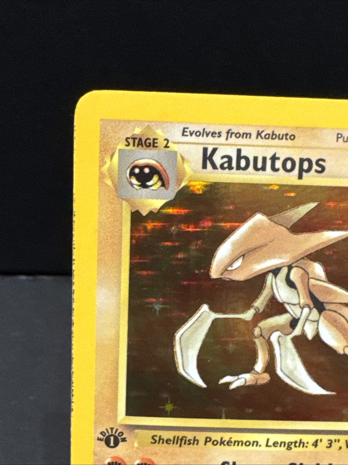 Kabutops 9/62 Fossil Holo (First Edition)