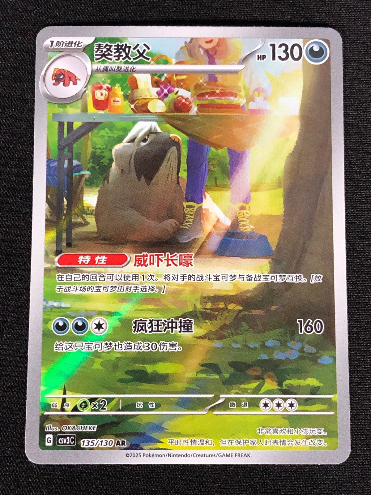 Pokemon Mabosstiff 135/130 AR (NM) Holo Chinese
