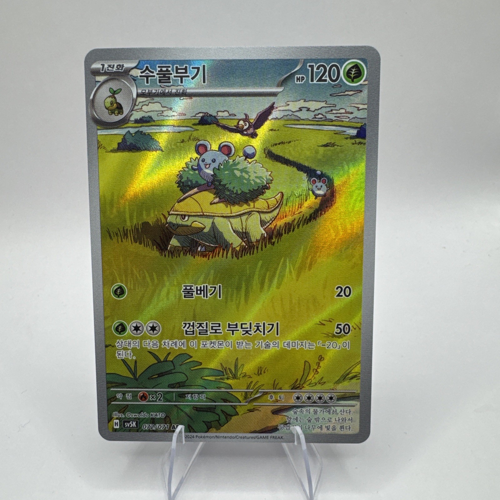 Pokemon Karte Grotle Art Rare – 072/071 AR – Wild Force Japanese NM JP