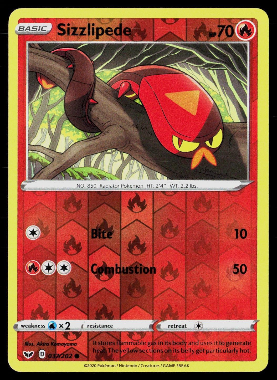 Sizzlipede 037/202 Reverse Holo Common Akira Komayama Sword & Shield Pokemon LP
