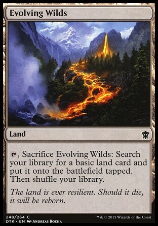 MTG Magic the Gathering Evolving Wilds (248/272) Dragons of Tarkir LP