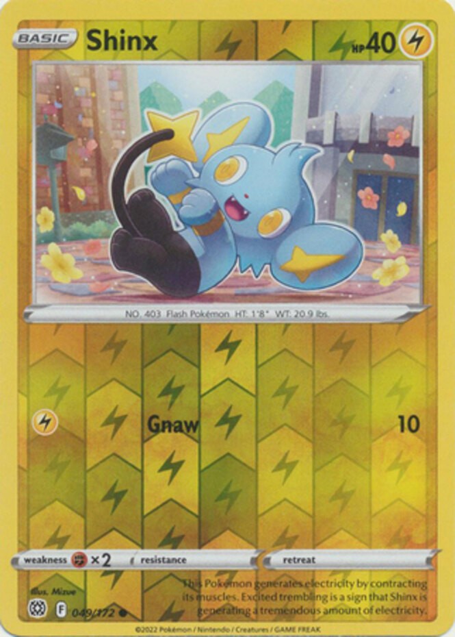Shinx – 049/172 – Common – Reverse Holo – Near Mint