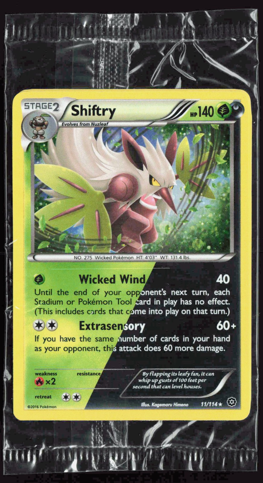 Shiftry 11/114 (Cosmos Holo) SEALED XY Knockout Collection Holo Promo NM