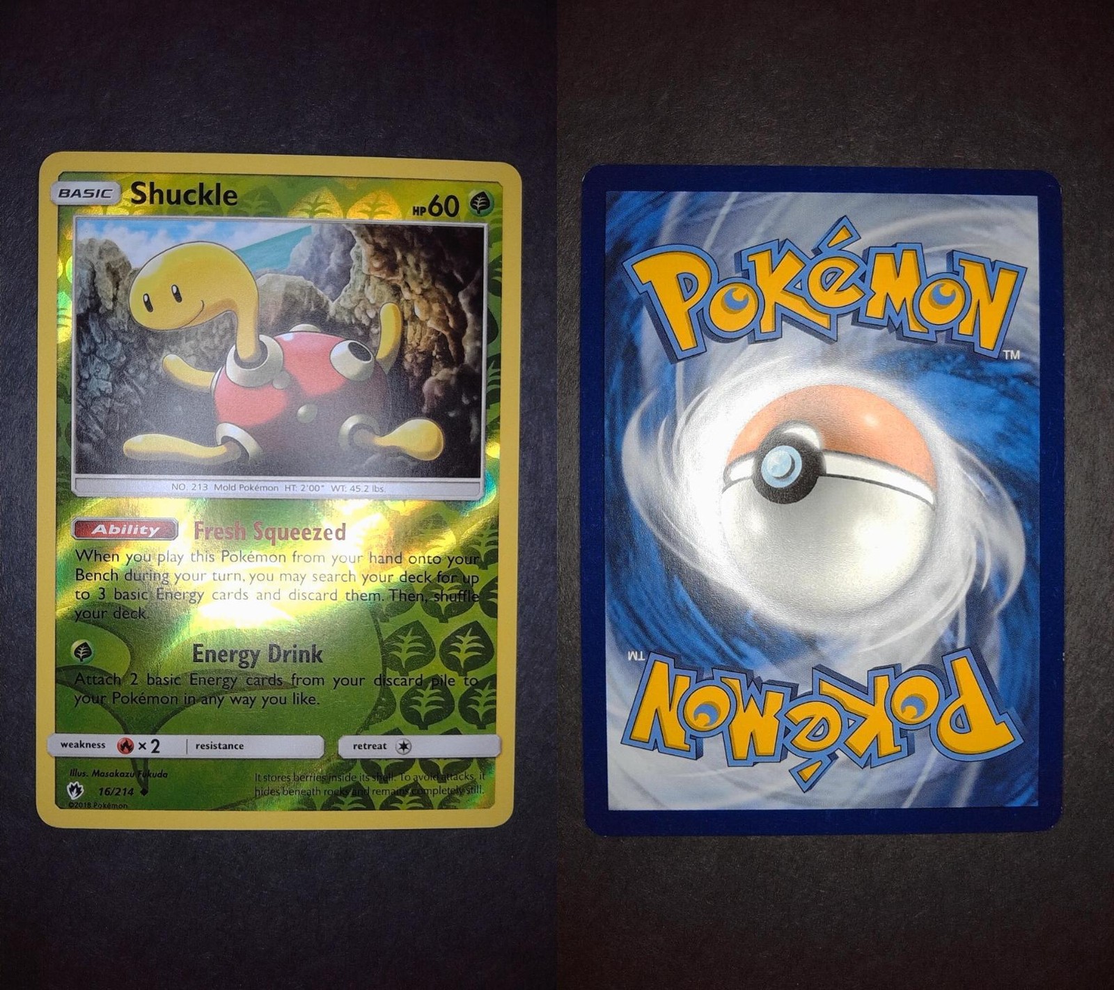 Shuckle 16/214 Uncommon Lost Thunder Pokemon Reverse Holo Lightly Played