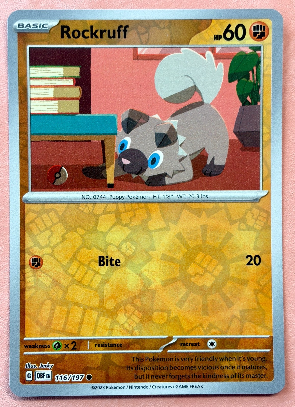 Rockruff~ Cute Pokemon Cards~ Fighting-Type Pokemon Collection