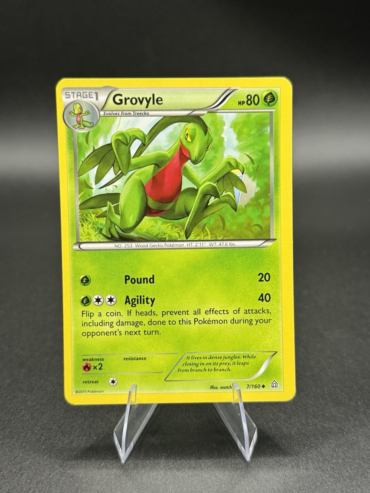 Grovyle 7/160 Uncommon Primal Clash Pokemon Lightly Played