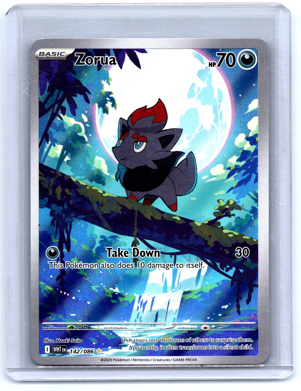 SV: White Flare #142/086 Zorua