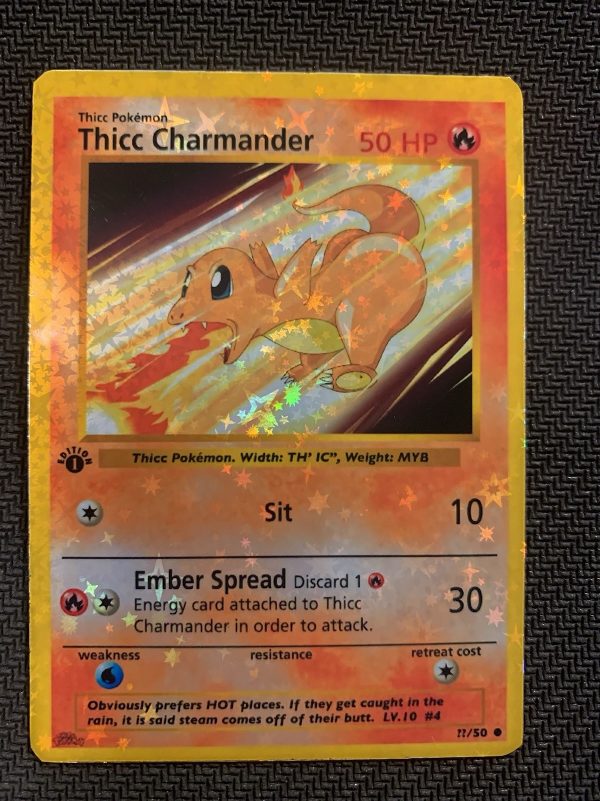 Thicc Charmander (Alternative Custom Art ) Holografic Card