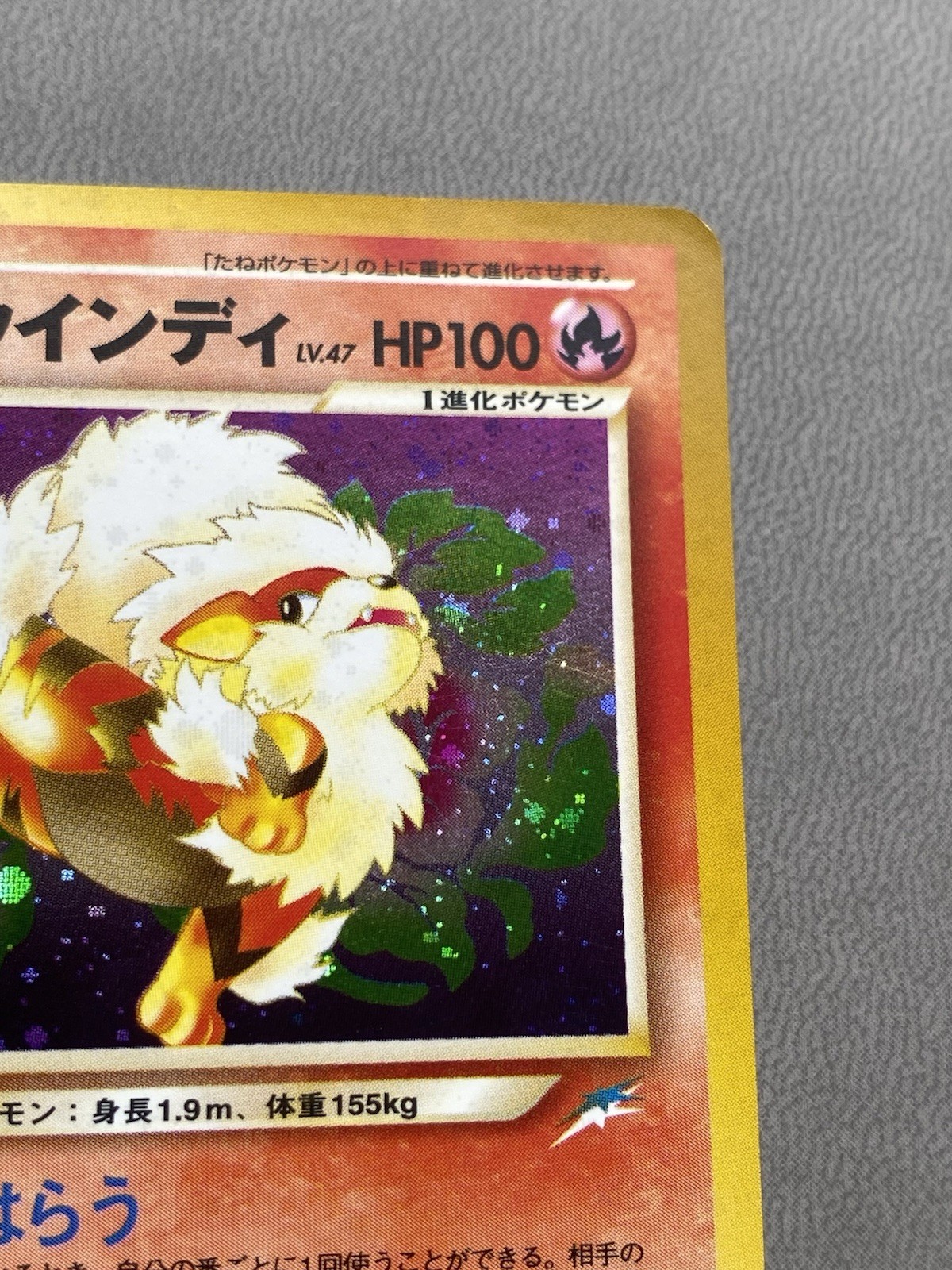 Light Arcanine No.059 Holo Japanese Pokemon 2001