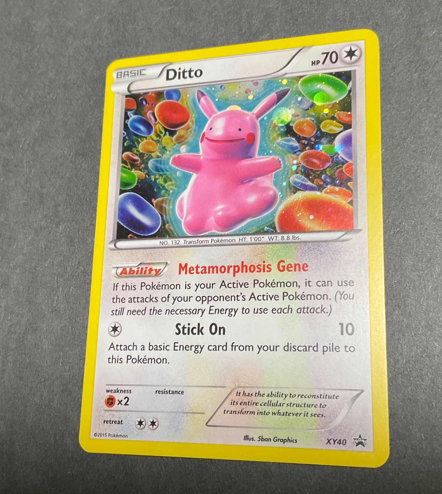 Pokemon TCG XY Black Star Promos Ditto Holo XY40 NMT