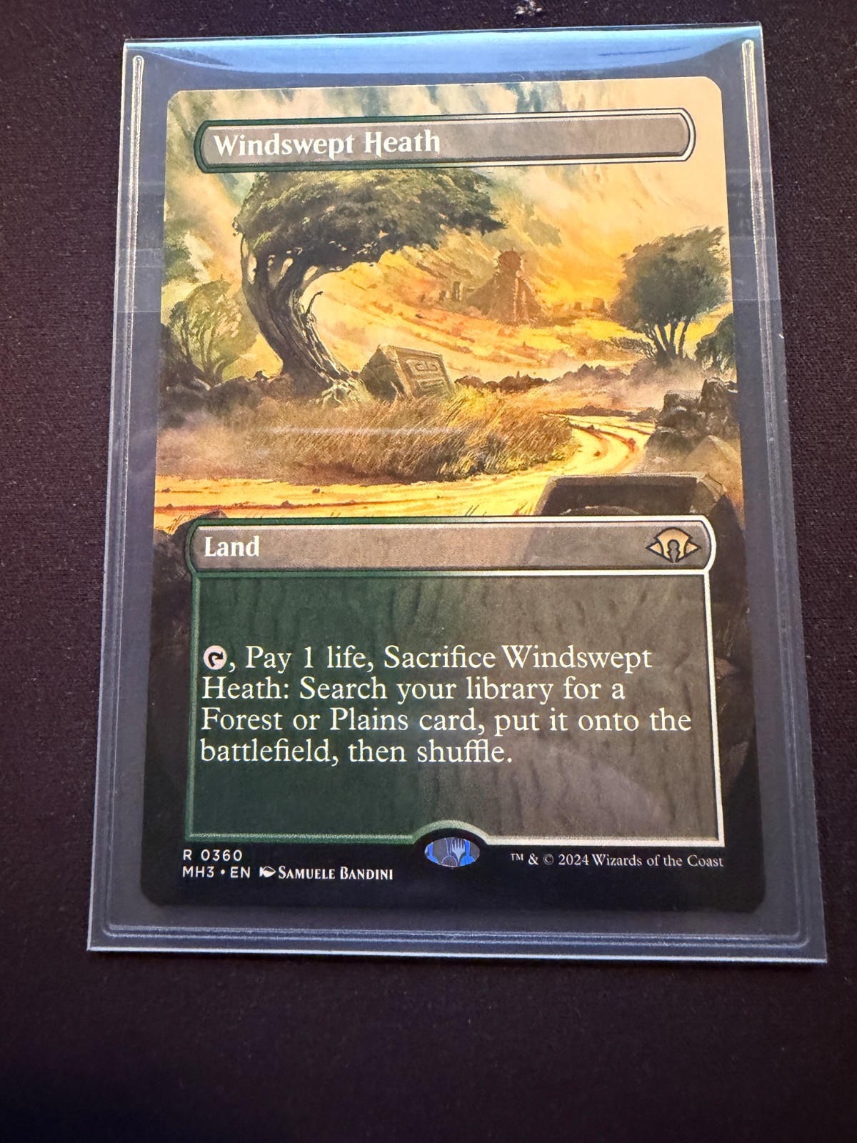 MTG Windswept Heath (Borderless) Modern Horizons 3 Regular