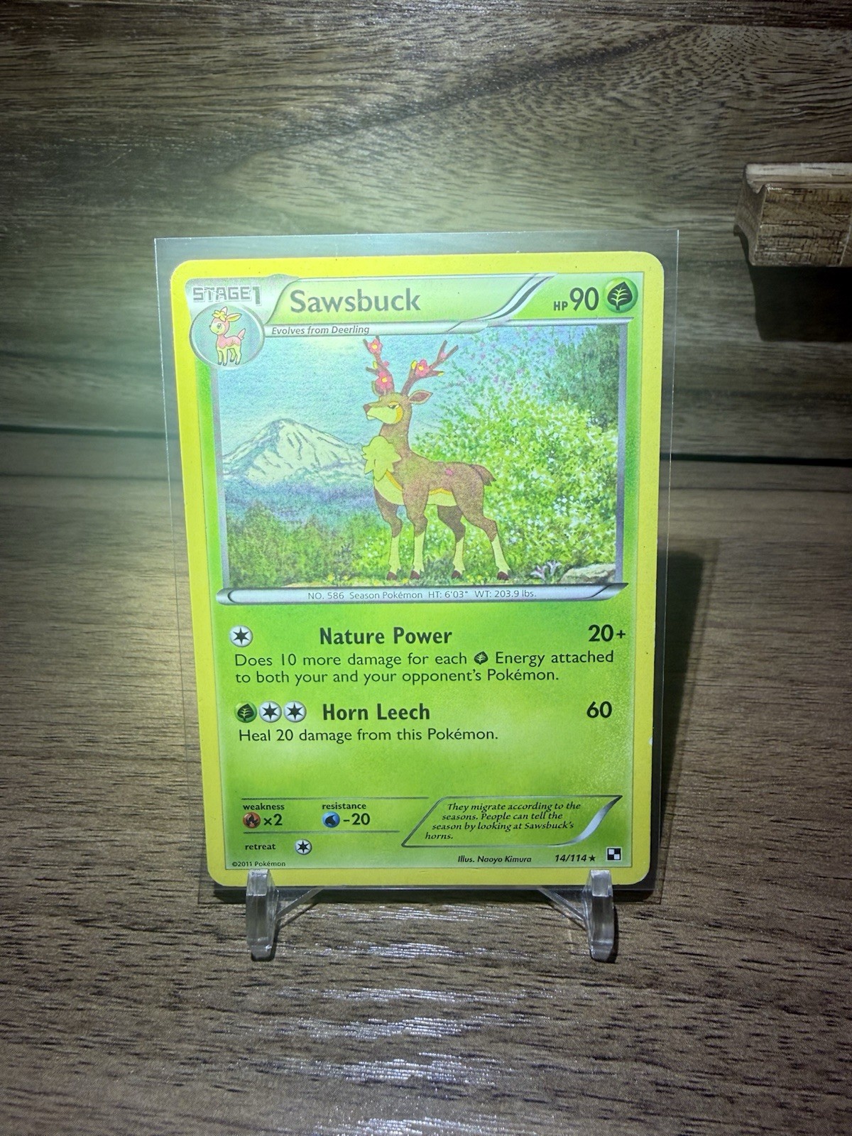 Sawsbuck 14/114 Black & White English Stage 1 90 HP Uncommon Reverse Holo