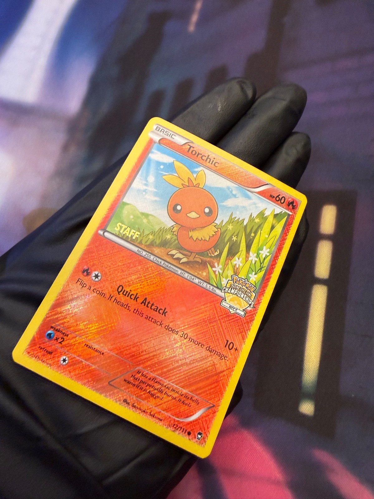 Torchic 12/111 – STAFF, VLP, State Championships, Pokémon League Promo TCG Card