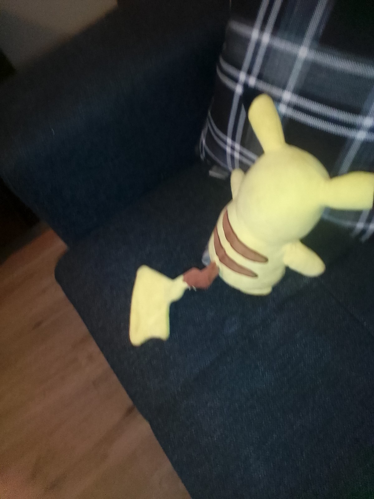 Pokemon Collectors Items
